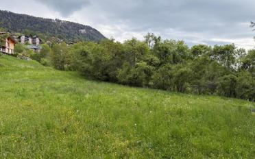 Terrain à bâtir - image - 2