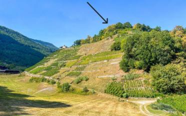 Terrain agricole - image - 3