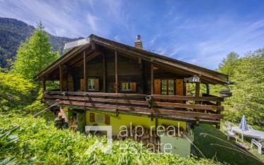 Chalet 4.5 Zimmer - image - 3