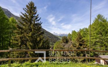 Chalet 4.5 Zimmer - image - 4