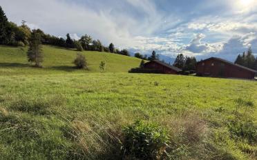 Chalet 5.5 rooms - image - 9