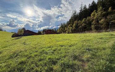 Chalet 5.5 rooms - image - 8