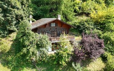 Chalet 4 rooms - image - 3