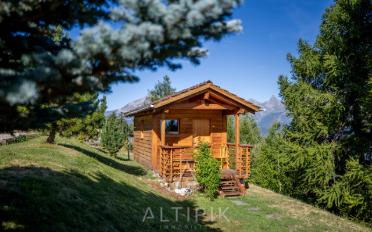 Chalet 4 rooms - image - 2