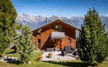 Chalet 4 rooms - image - 1