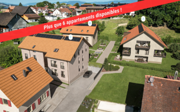 Einfamilienhaus 3.5 Zimmer - image - 1