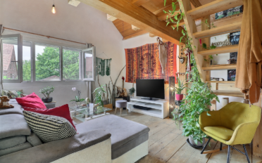Single house 3 rooms - image - 4