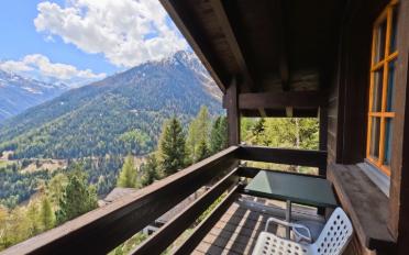 Chalet 4 rooms - image - 13