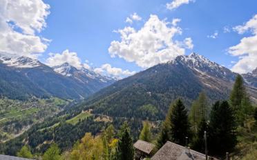 Chalet 4 rooms - image - 14