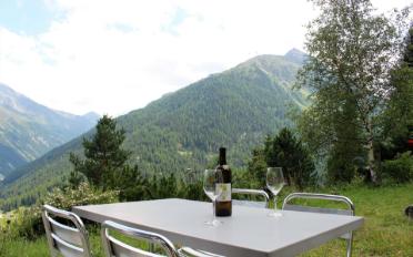 Chalet 4 rooms - image - 16