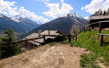 Chalet 4 rooms - image - 19