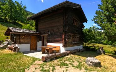 Chalet 4.5 Zimmer - image - 1