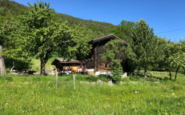 Chalet 4.5 Zimmer - image - 14