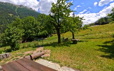 Chalet 4.5 Zimmer - image - 22