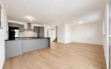 Doppeleinfamilienhaus 4.5 Zimmer - image - 4