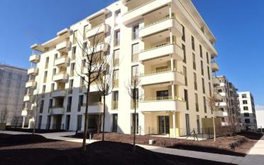 Wohnung 3.5 Zimmer - image - 9