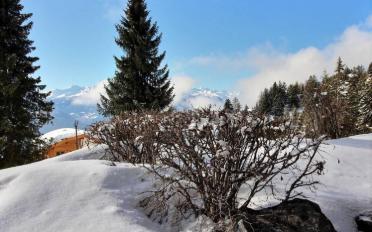 Apartment 3 rooms - image - 8