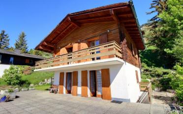 Chalet 4.5 Zimmer - image - 1