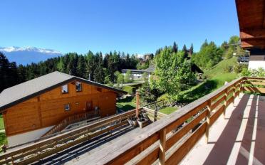 Chalet 4.5 Zimmer - image - 13