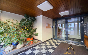 Studio 1 room - image - 13