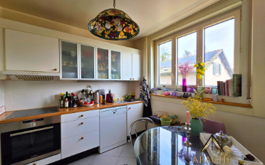 Single house 10 rooms - image - 16