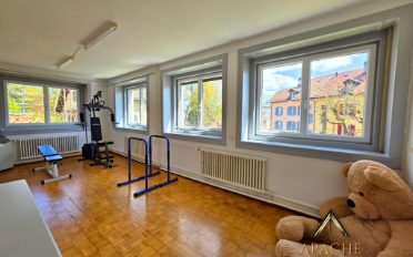 Single house 10 rooms - image - 4