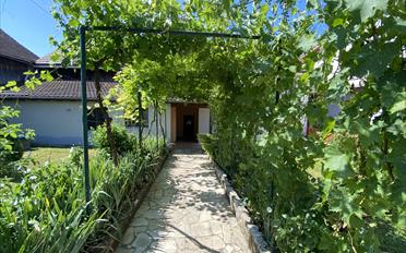 Maison - image - 28