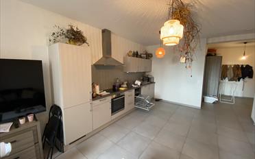 Appartement - image - 5