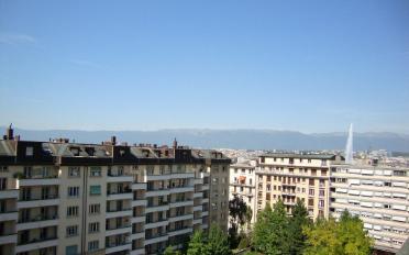 Wohnung 4 Zimmer - image - 10