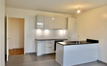 Wohnung 3 Zimmer - image - 2