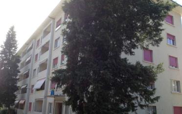 Appartement 2 pièces - image - 2