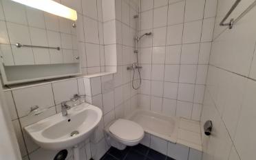 Apartment 1 room - image - 5