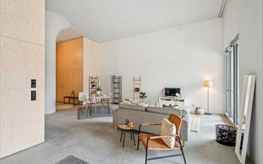 Loft 1 pièce - image - 6