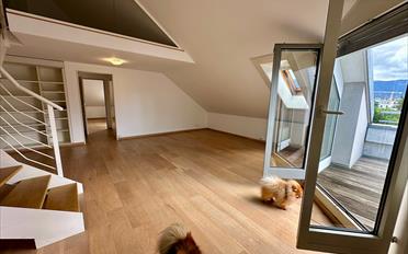 Attikawohnung 3 Zimmer - image - 1