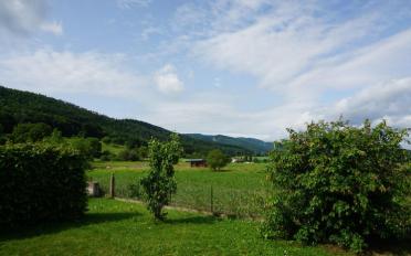 Wohngebäude - image - 4
