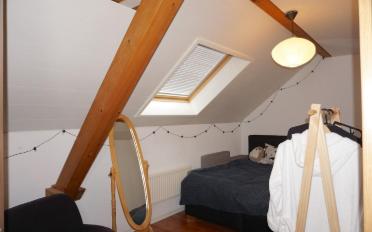 Single house - image - 8