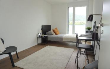 Wohnung 3.5 Zimmer - image - 7