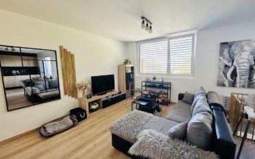 Wohnung 2.5 Zimmer - image - 2