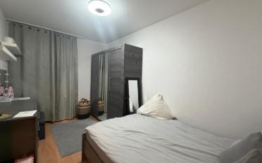 Doppeleinfamilienhaus 5.5 Zimmer - image - 6