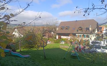 Duplex 3.5 Zimmer - image - 1