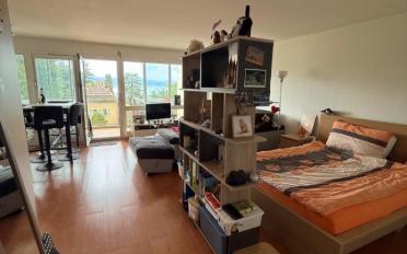 Wohnung ein Zimmer - image - 4
