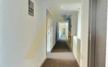 Appartement 2 pièces - image - 5