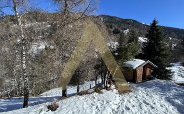 Chalet 2 pièces - image - 10