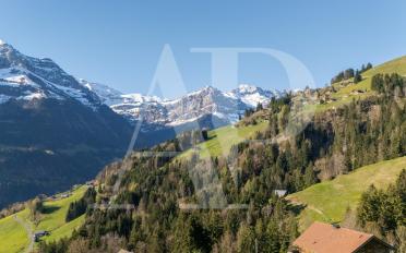 Chalet 6.5 pièces - image - 4