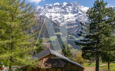 Chalet 6.5 pièces - image - 3