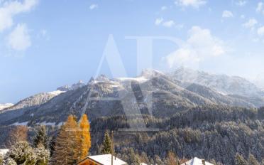 Chalet 5.5 rooms - image - 12