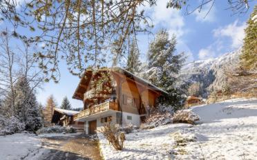 Chalet 5.5 rooms - image - 11