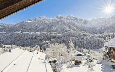 Chalet 16 rooms - image - 5