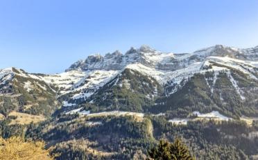 Chalet 9 rooms - image - 11