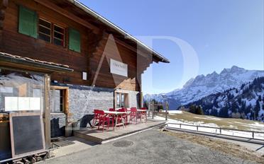 Chalet 11 rooms - image - 2